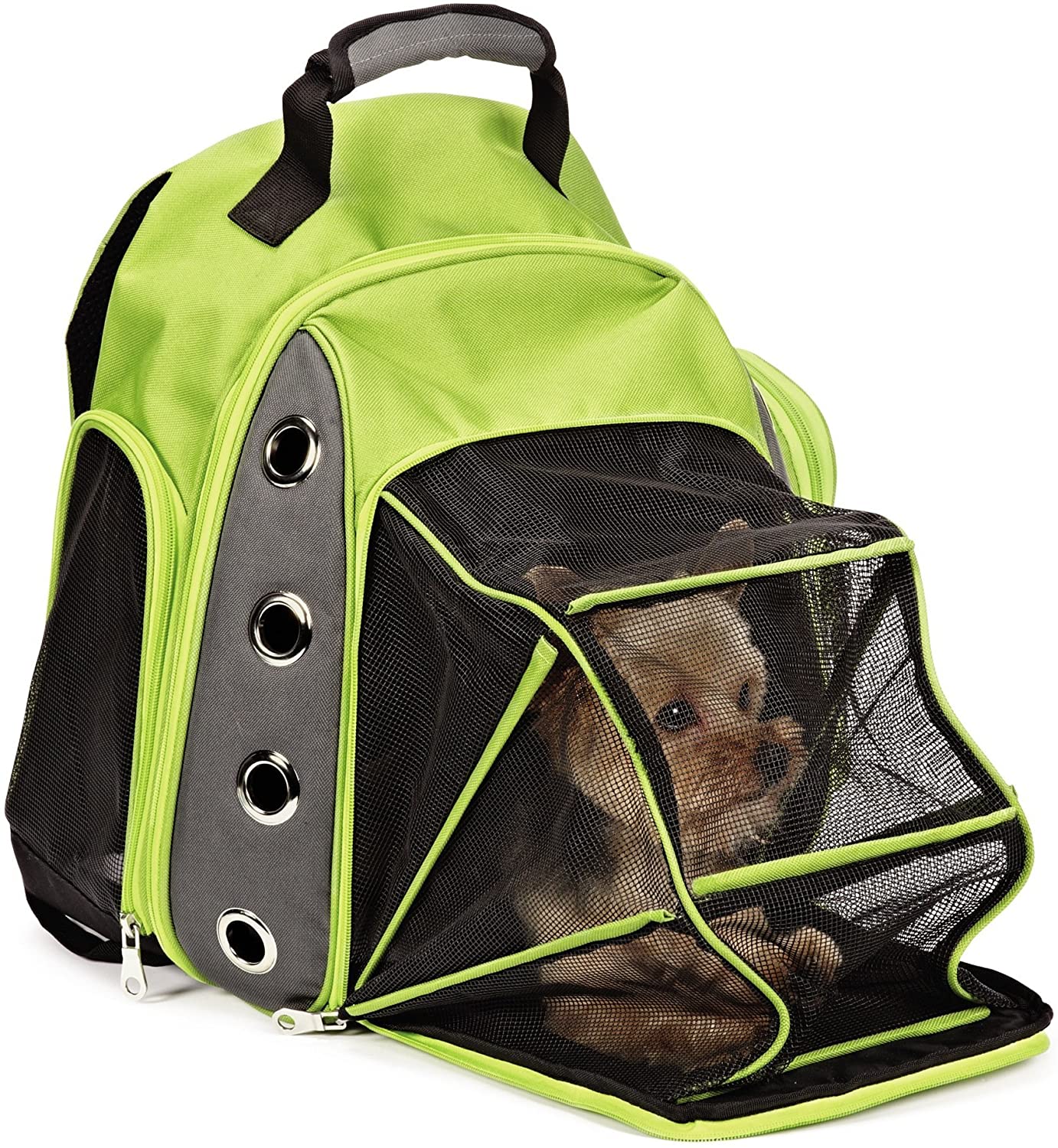 The 7 Best Dog Backpack Carriers of 2024, Tested and Reviewed