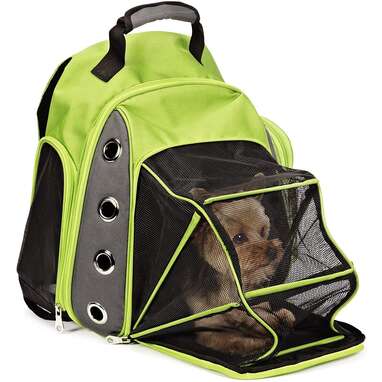 Packs to carry on sale small dogs