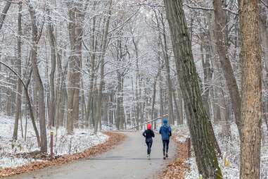 The Morton Arboretum