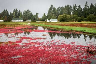 Cranberry Museum