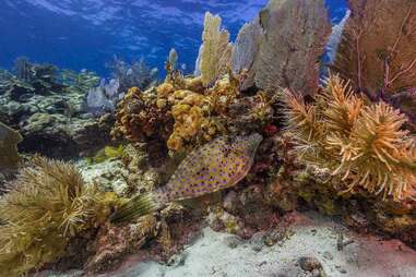 Biscayne National Park