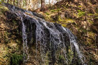 Falling Waters State Park