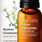 Gya Labs Roman Chamomile Essential Oil for Stress Relief, Sleep and Relaxation - Topical Use for Sensitive Skin and Nausea Relief - Therapeutic Grade Chamomile Oil for Aromatherapy - 10ml