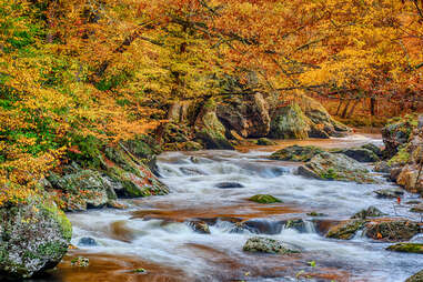 Smokey Mountains