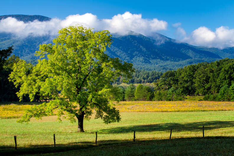 Cades Cove