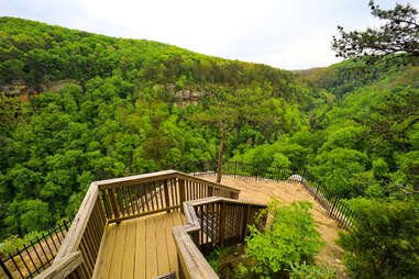 Cloudland Canyon State Park