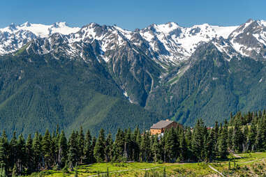 Hurricane Ridge 