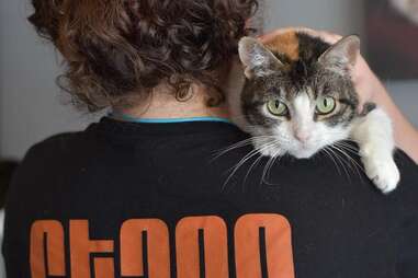 Austin Pets Alive - Tarrytown
