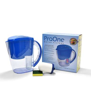 ProOne Water Filter Pitcher with Fruit Infuser