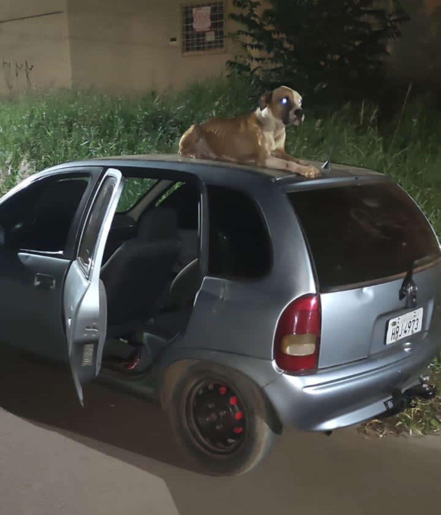 Guy Finds His Stolen Car — And Sees It Now Comes With A Dog - The Dodo