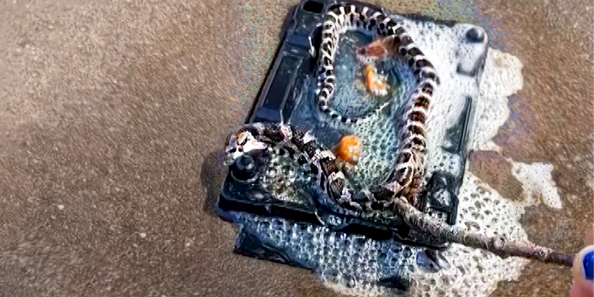 woman-afraid-of-snakes-saves-a-little-baby-one-videos-the-dodo