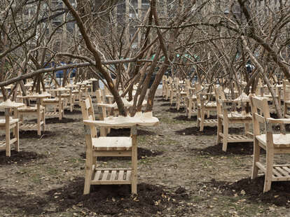 Brier Patch art exhibit in Madison Square Park