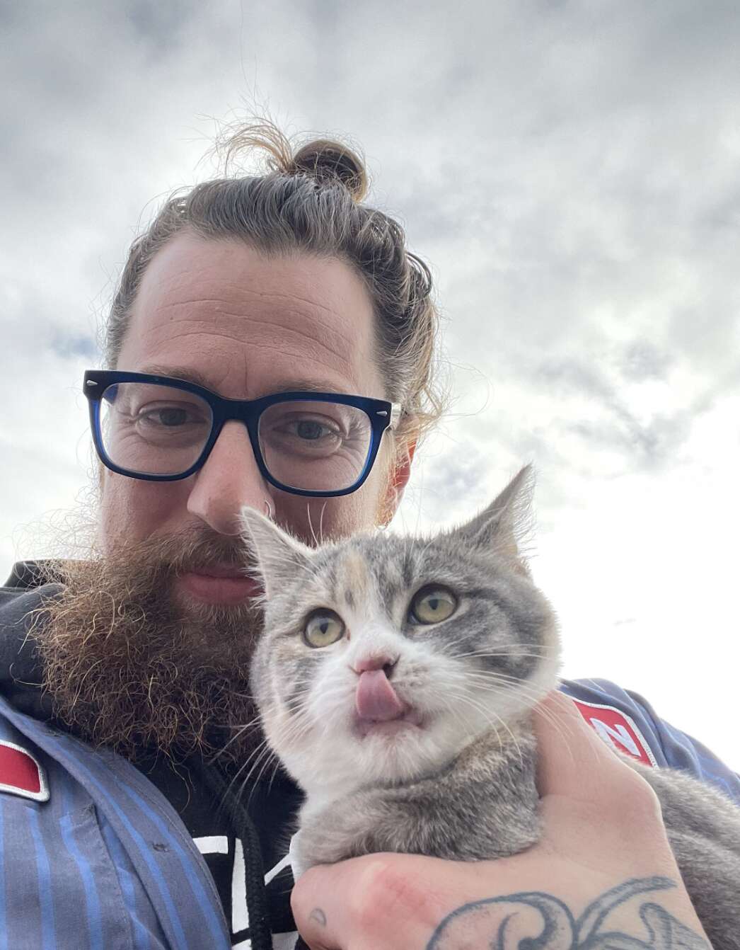 Stray kitten jumps into man's arms