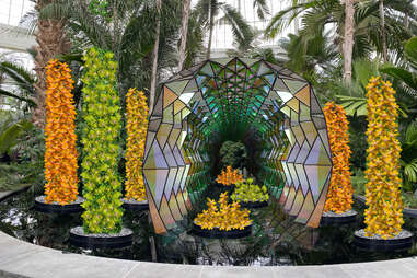 The Orchid Show: Jeff Leatham’s Kaleidoscope