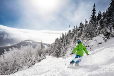 Whiteface