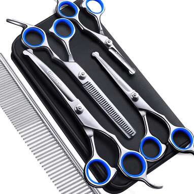 Best professional dog grooming scissors clearance reviews