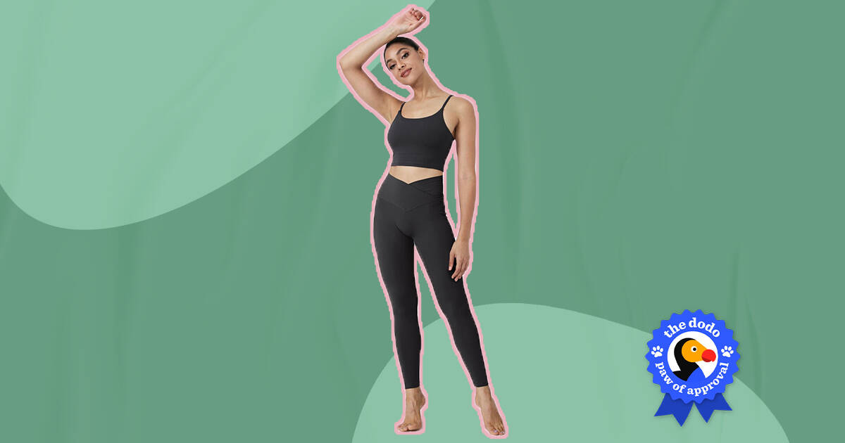 Are They Worth the Hype? - Trying the Viral Halara Leggings for