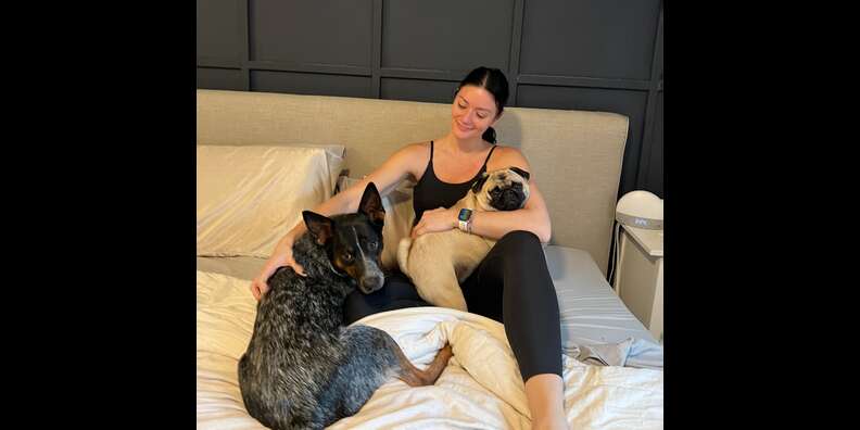 Halara Patitoff Pet Hair Resistant Leggings: Did They Work? - Paw of  Approval - The Dodo