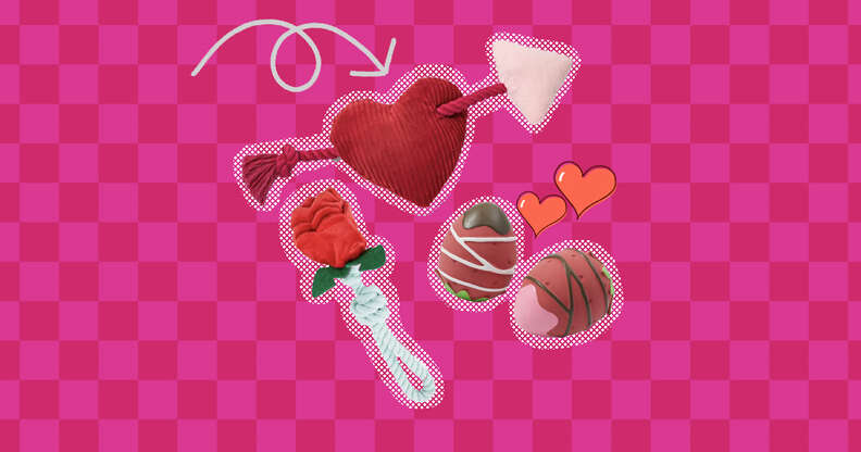 4 Stimulating Dog Toys on Valentine's Day