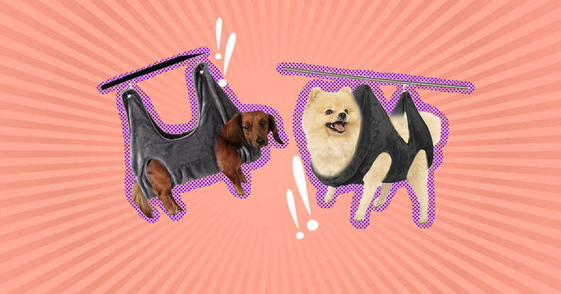 Dog nail clipping sling hotsell