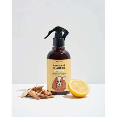Best spray dog dry shampoo: Wild One Rinseless Shampoo