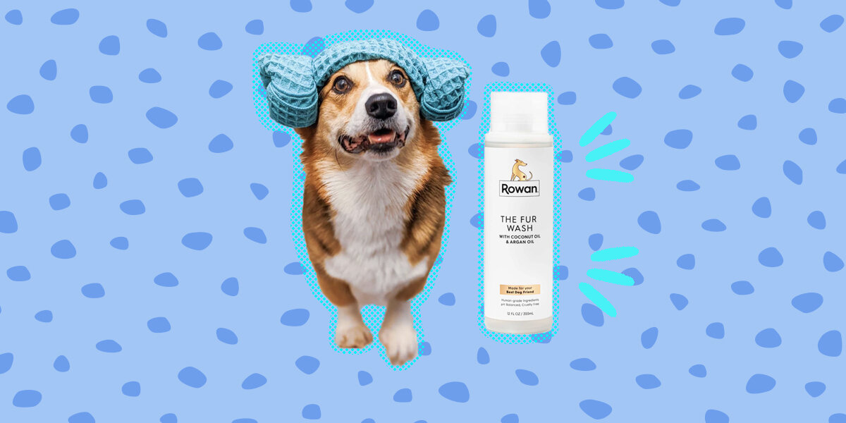 The 6 Best Dog Bath Brushes On  - DodoWell - The Dodo