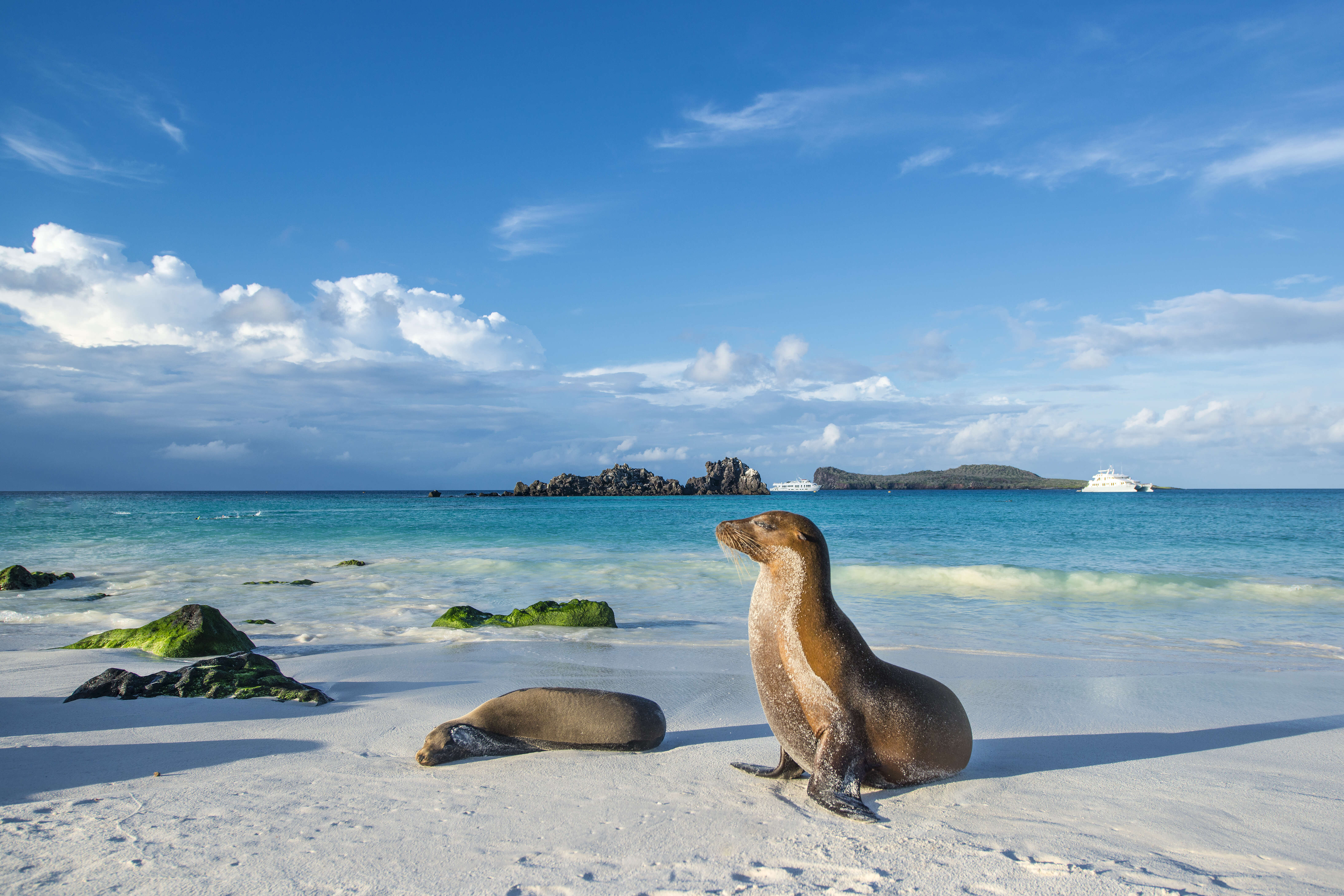 Here’s What It’s Like to Live on the Galápagos Islands