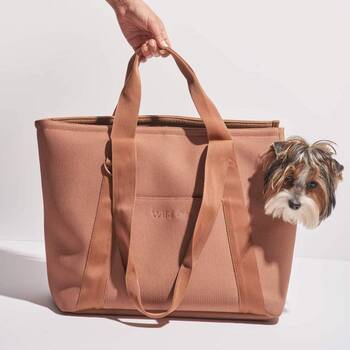 Stylish hot sale pet carrier