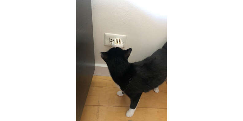 Thunderease cat outlet diffuser