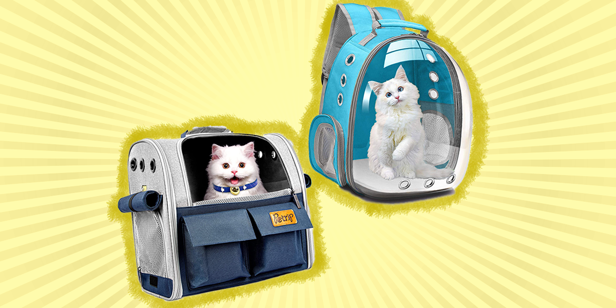 5 Best Cat Backpacks So You Can Take Your Cat Everywhere With You ...