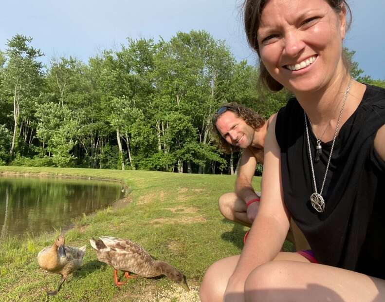 ducks