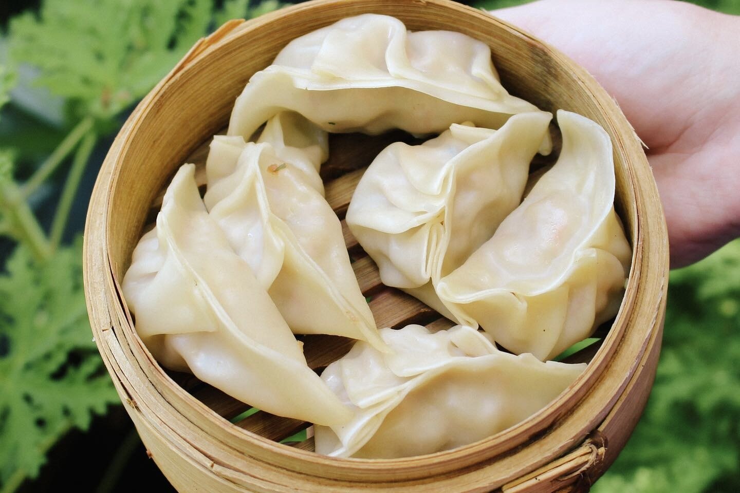 Doc Chey’s Noodle House