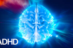 How is the ADHD Brain Different?
