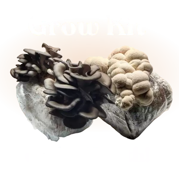 Grow Kit Of The Month
