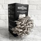 Blue Oyster Mushroom Spray & Grow Kit