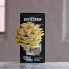 Golden Oyster Mushroom Spray & Grow Kit