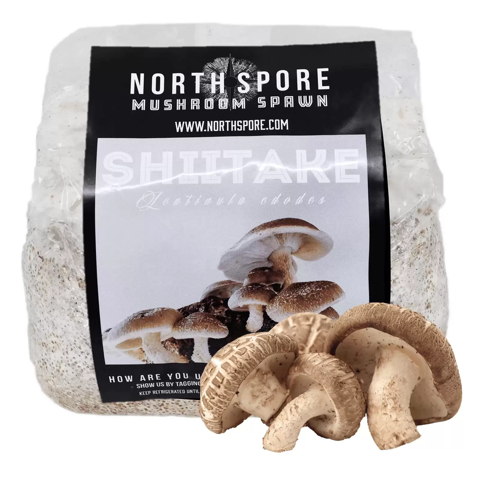 Grain Spawn - Certified Organic (6 lbs)