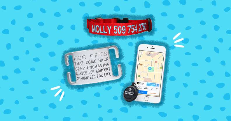 Pet tags best sale 4 life