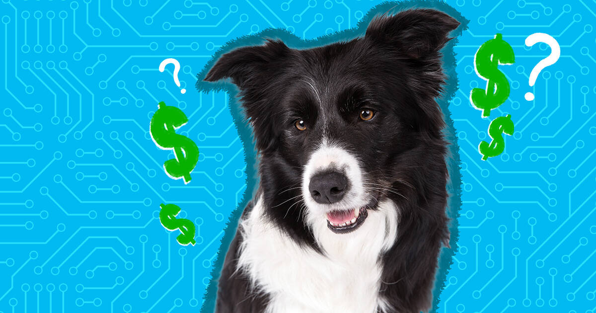 how much does it cost to get your dog chipped