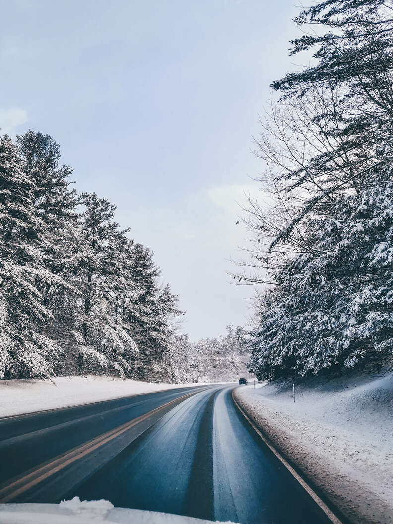 road amidst snowy trees