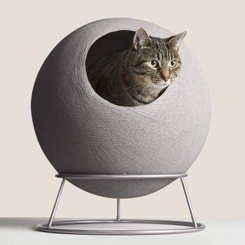 Modern on sale cat bed