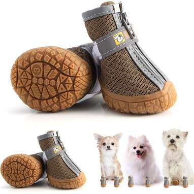Best budget: Hcpet Dog Booties
