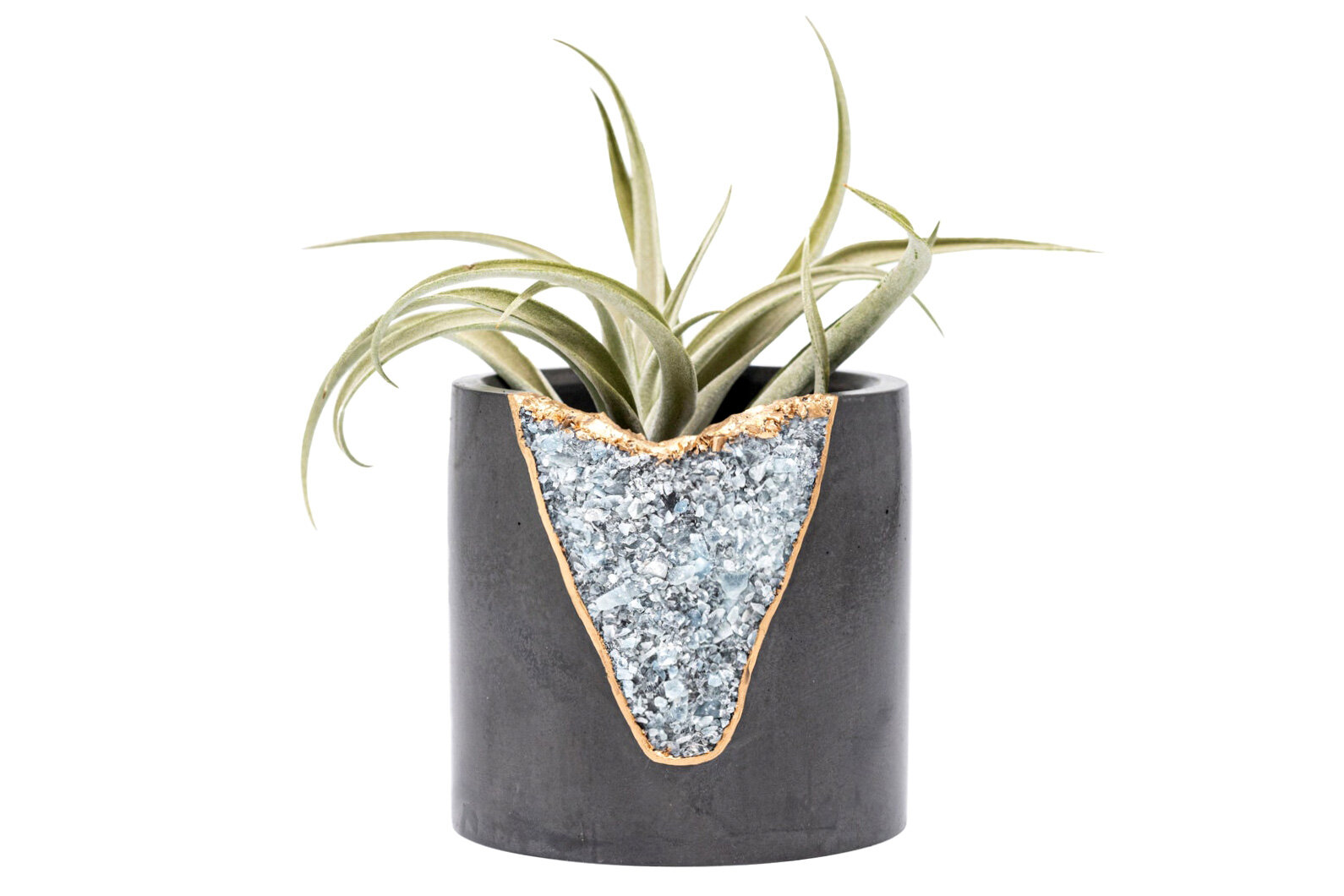 Tal & Bert, Succulent Geode Planter