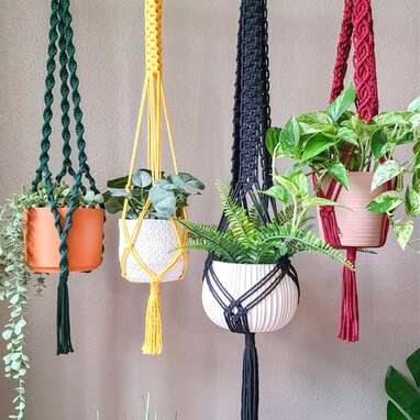 Sweet Home Alberti, Macrame Plant Hangers