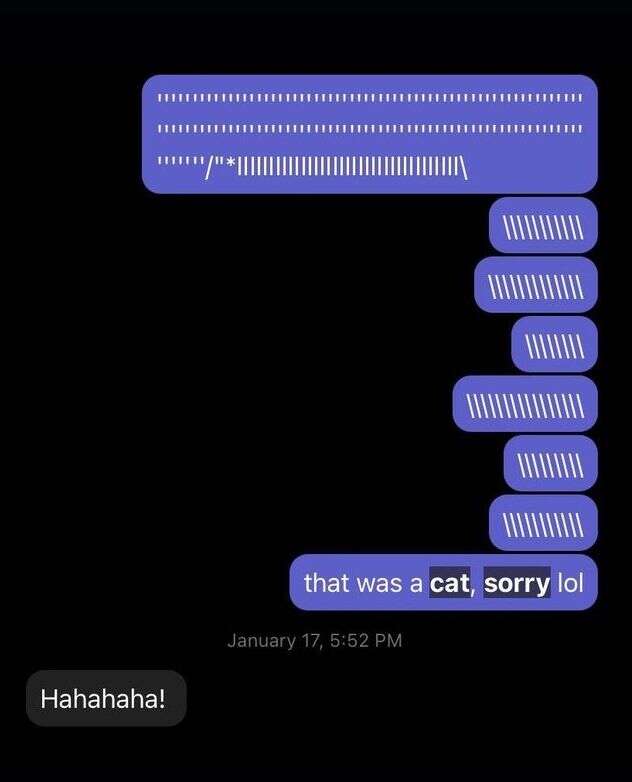 cat sends messages