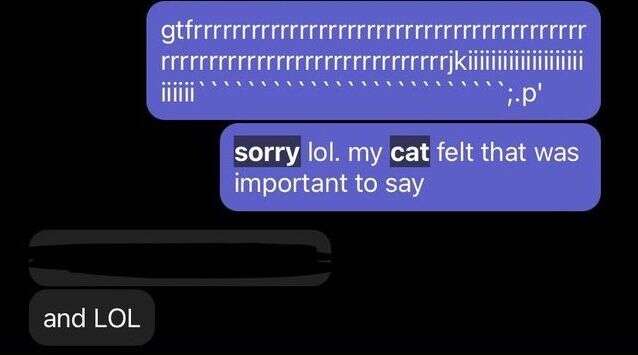 cat sends messages