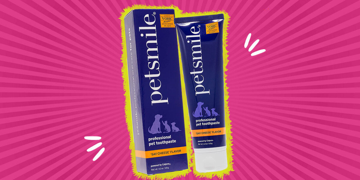 Pink Dog Toothpaste Best Dog Toothpastes, According To Veterinarians - DodoWell - The Dodo