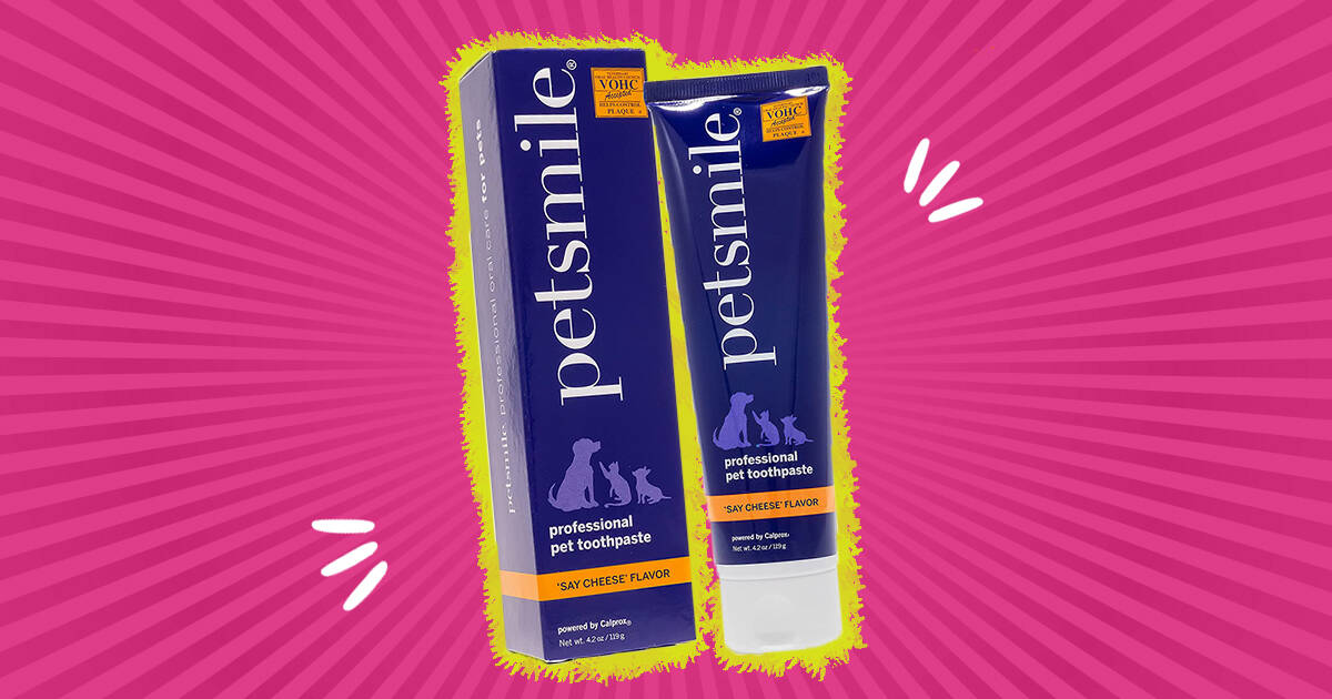 what dog toothpaste is best