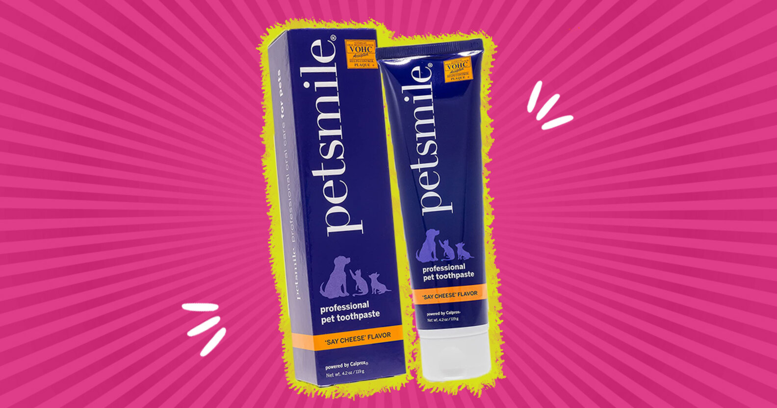 Best Dog Toothpastes, According To Veterinarians - DodoWell - The Dodo