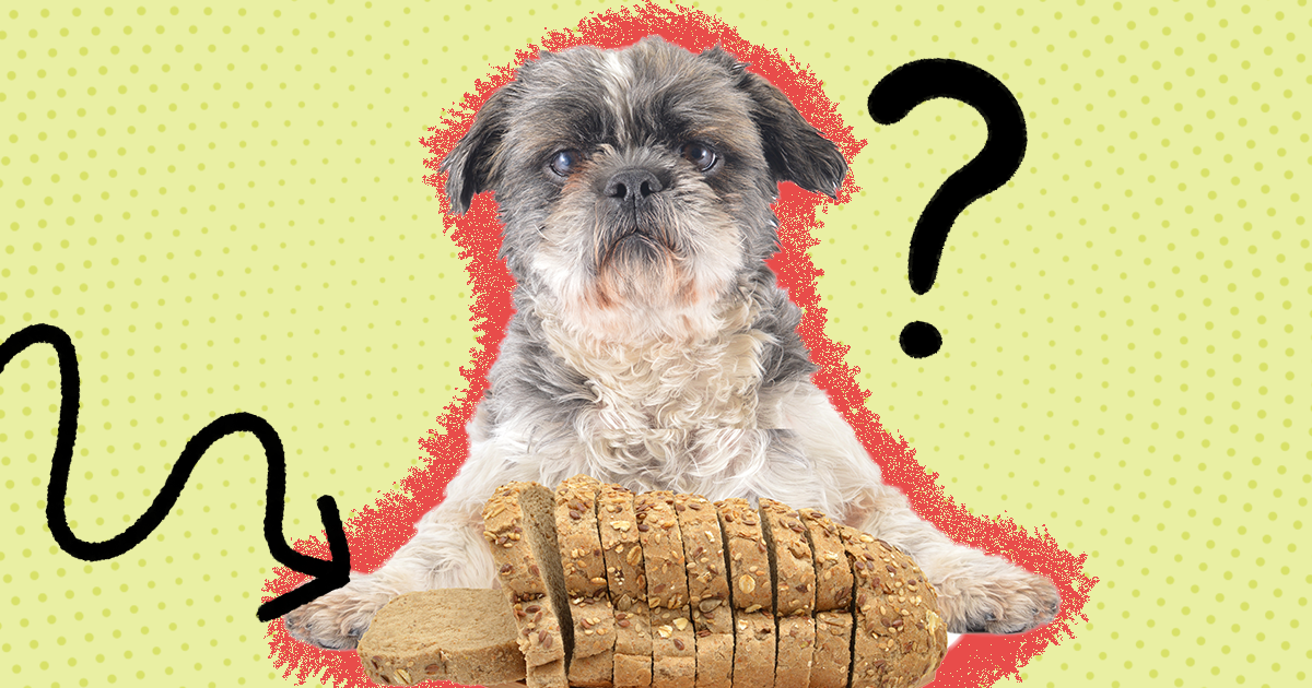 bad food for pups is sourdough bread bad for dogs